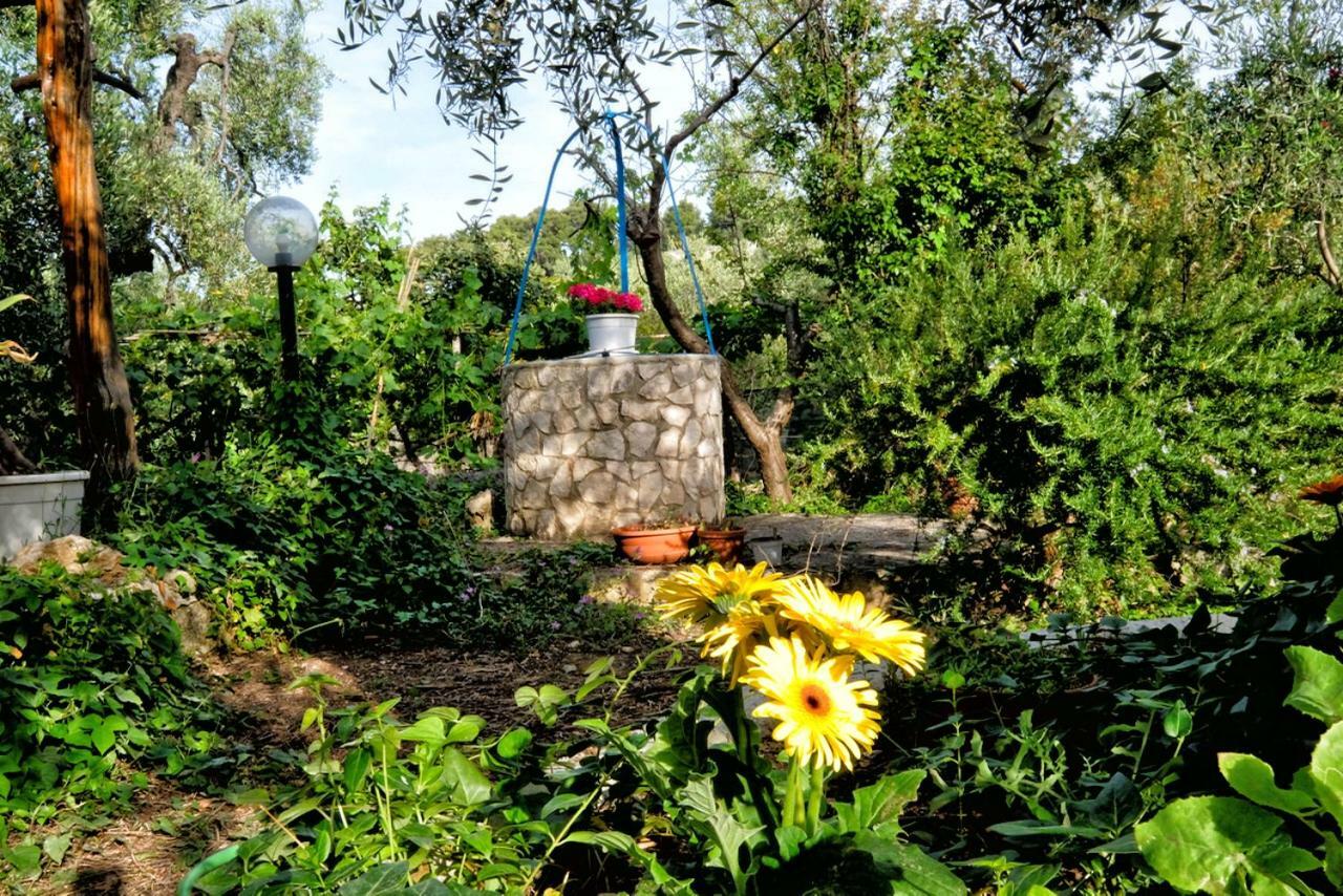 Terra Di Ulivo Villa Vieste Ngoại thất bức ảnh