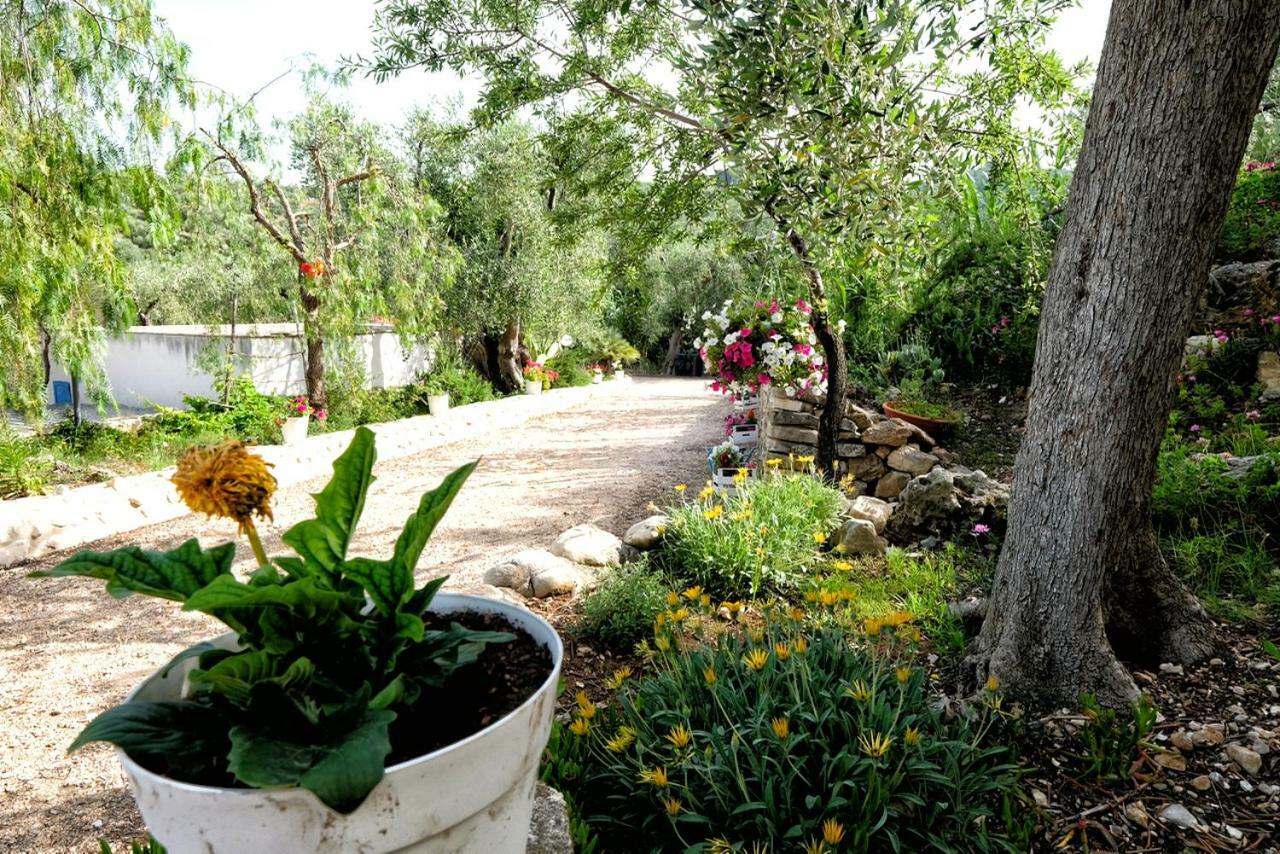 Terra Di Ulivo Villa Vieste Ngoại thất bức ảnh