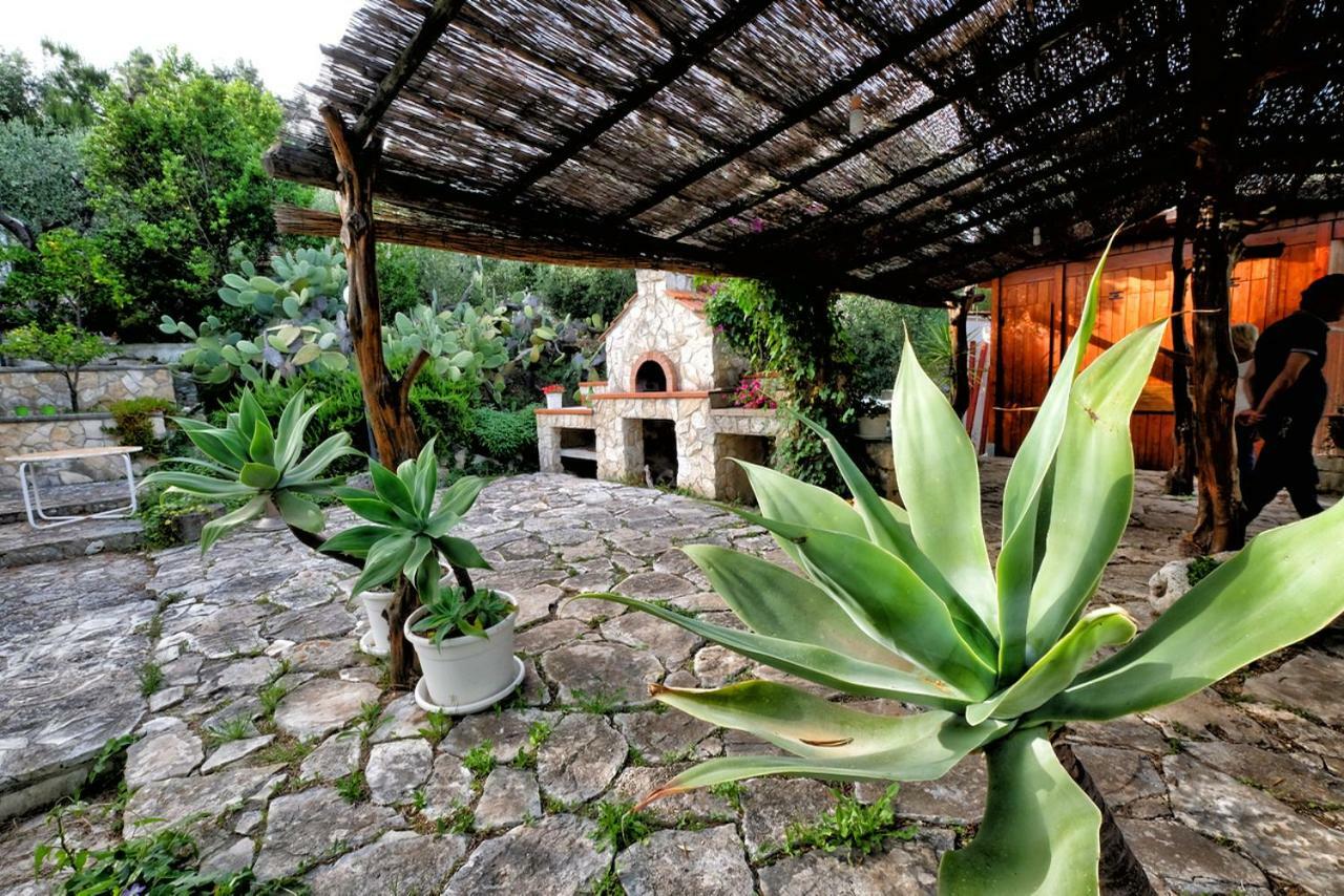 Terra Di Ulivo Villa Vieste Ngoại thất bức ảnh